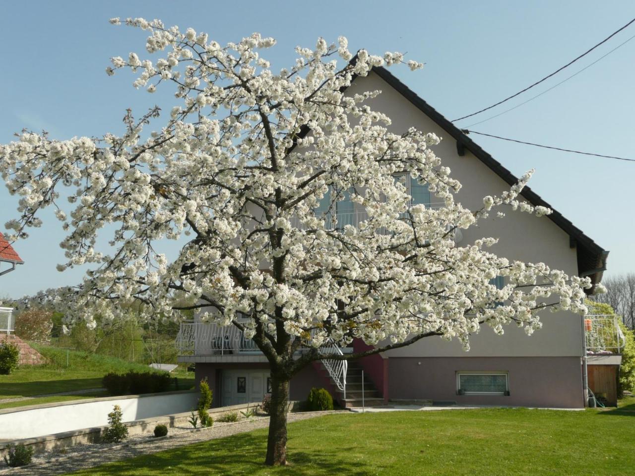 Chez Anny Et Jean Au Mittelbuehl-Reichshoffen Bed & Breakfast Exterior photo